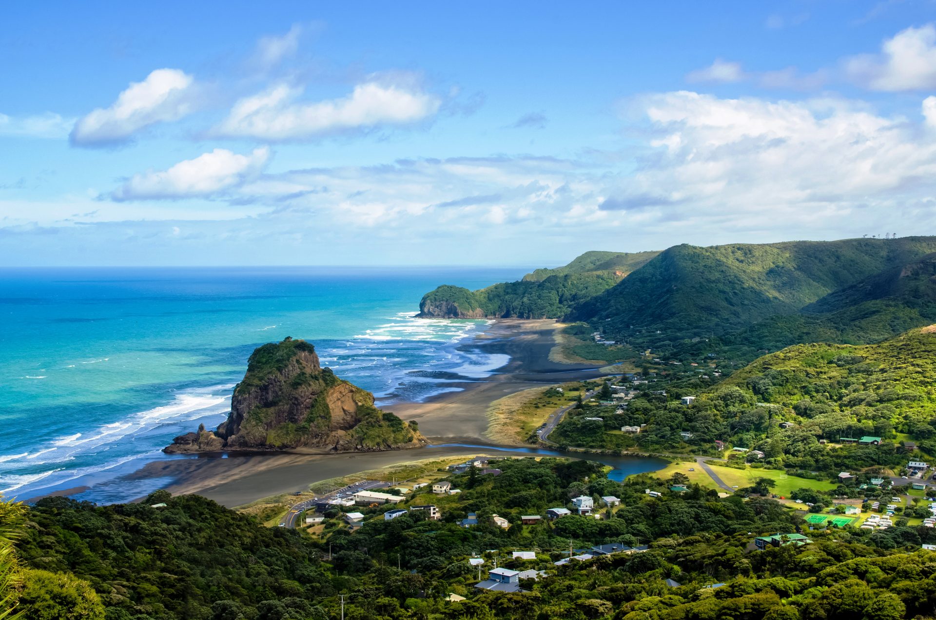Download your free guide to buying in New Zealand