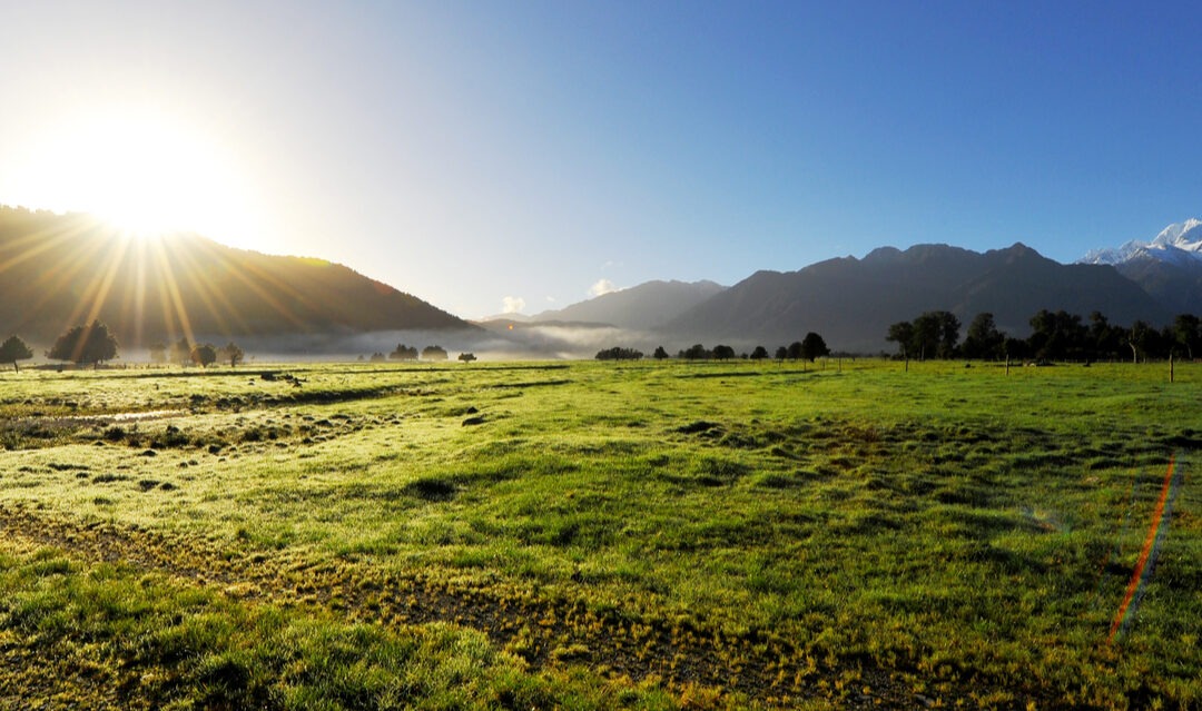 How can you find land to build on in New Zealand?