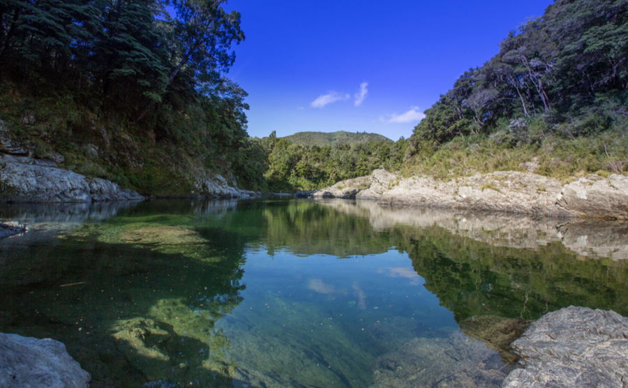 5 splendid swimming spots in New Zealand