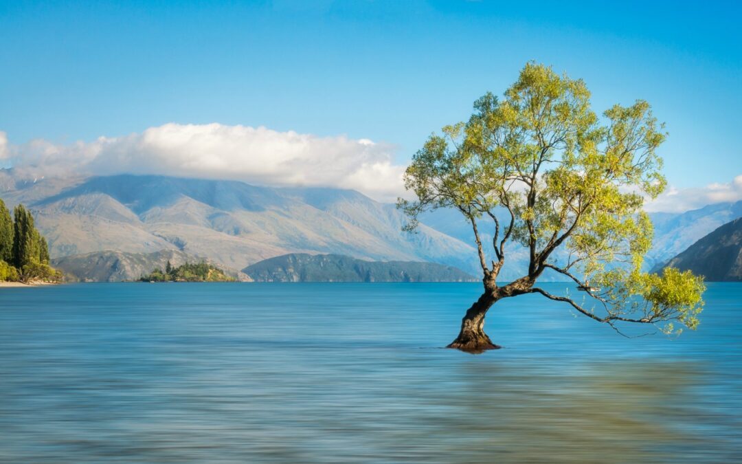 Where will I find the cheapest homes in New Zealand?