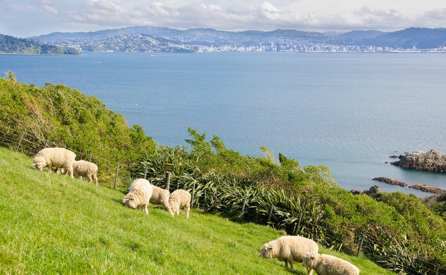 Easter in New Zealand