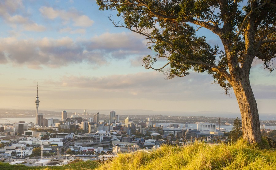 Will New Zealand’s foreign buyer ban affect you?