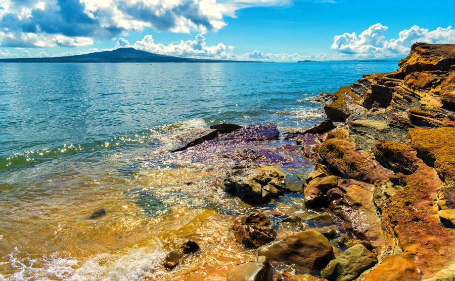 Takapuna is consistently rated as one of the best areas to buy for families.