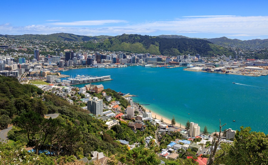 When buying in Wellington, it's important to consider the sunshine aspect.