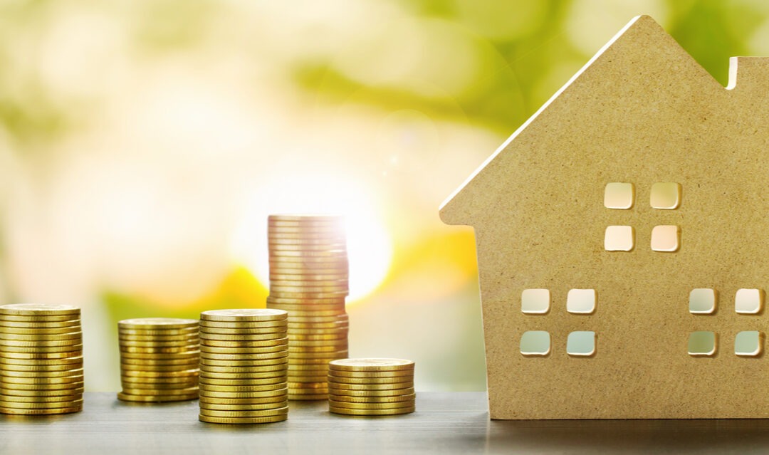 Buying in New Zealand, part four: how to buy