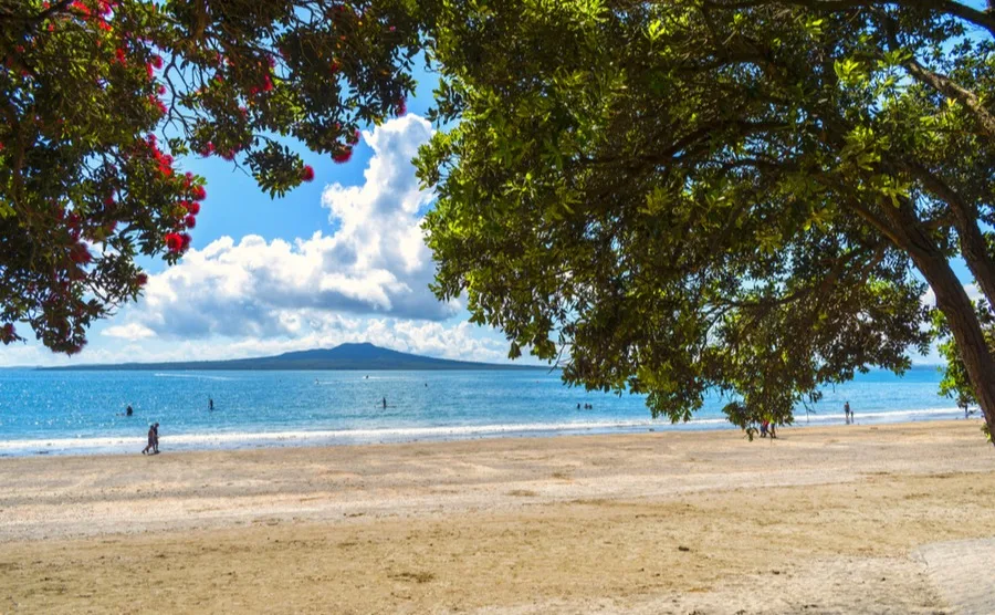 Living in Takapuna puts you in easy reach of some stunning beaches.