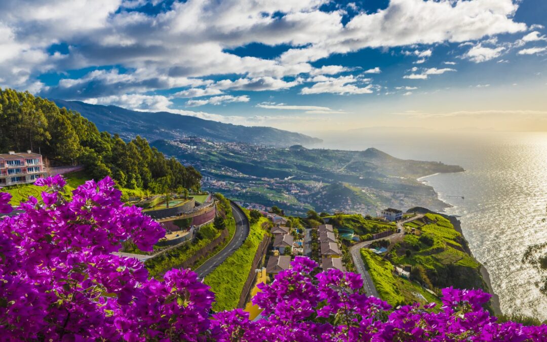 Madeira tempts buyers from Canaries and Algarve