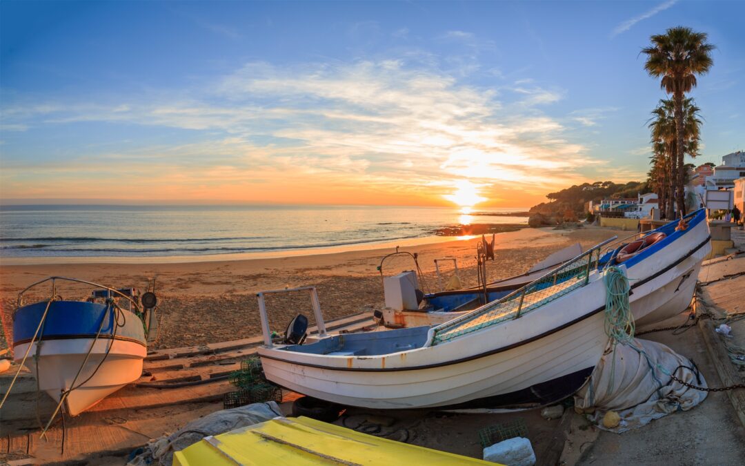 Learning to love a Portuguese heatwave