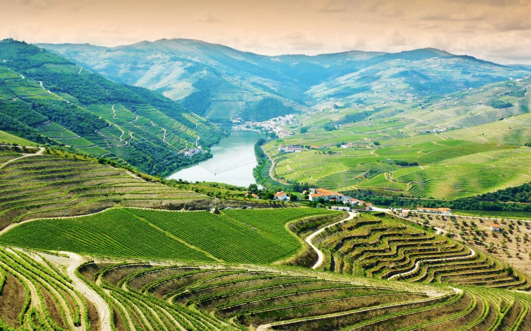 Achieve the dream of the country life in Portugal