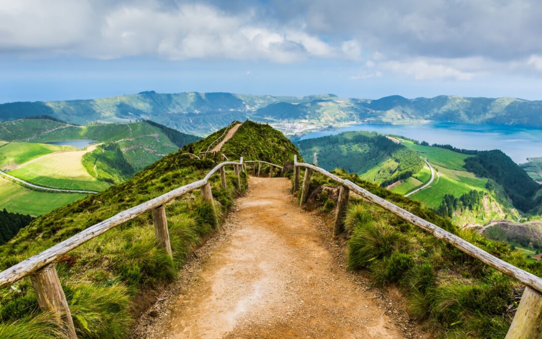 You could be a cattle rancher in Portugal, says National Park