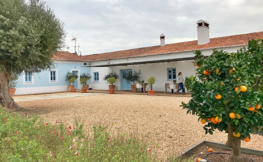 Herdade da Maladinha Nova is a typical family-owned estate in the Alentejo.