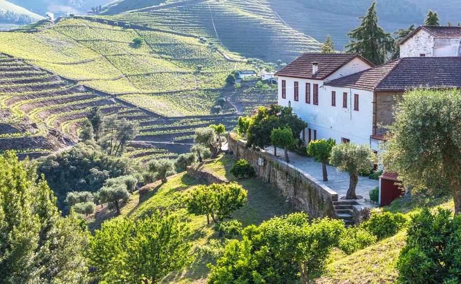 Achieve the dream of the country life in Portugal