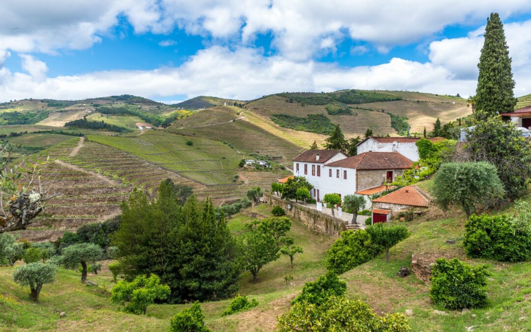 Sir Cliff’s vineyard is for sale