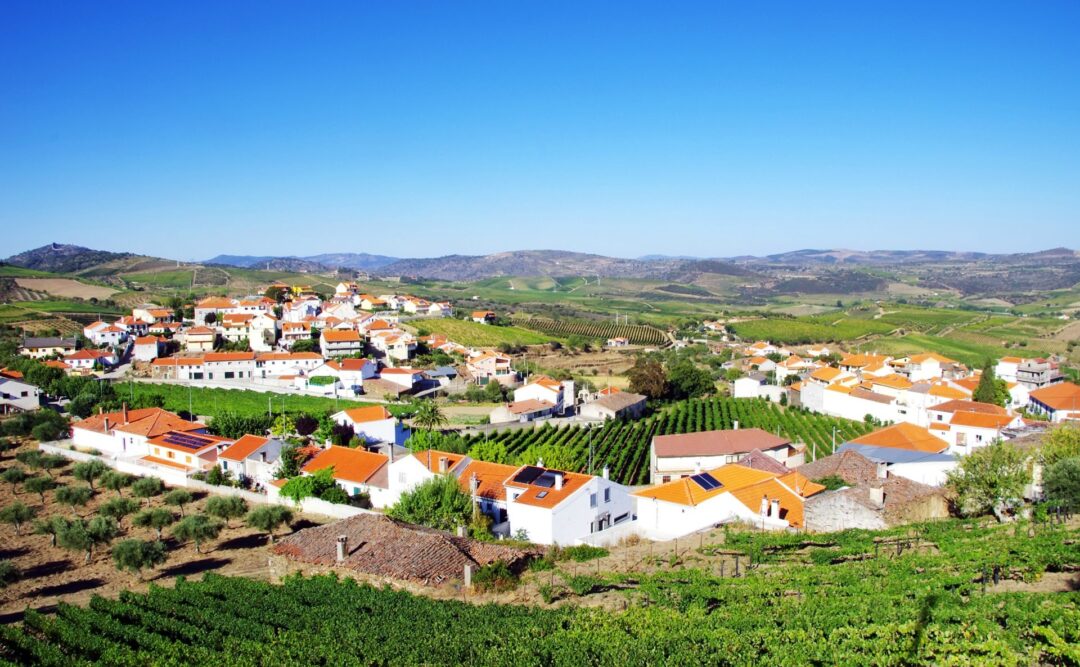 Portuguese vineyards for sale Portugal Property Guide