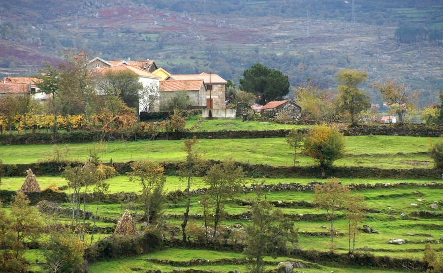 A rural life in Portugal: the pros and cons