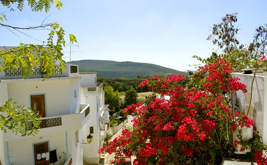 The villages in the surrounding hills are the perfect place to look for a property with far-reaching views, such as here in Alte.