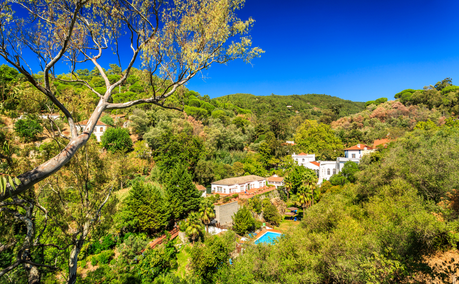 Algarve wildlife recovers as expats help create haven