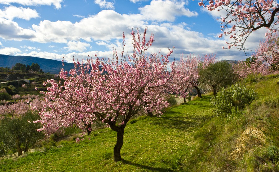 6 pieces of good news from Spain