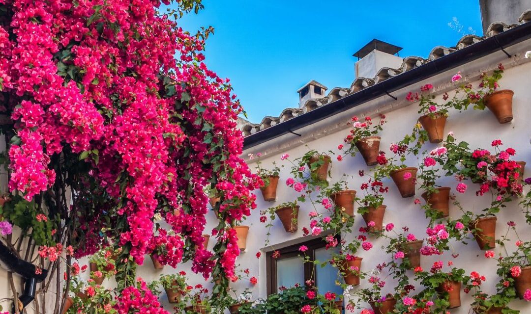 Be charmed by Córdoba, home to Spain’s greatest flower festival
