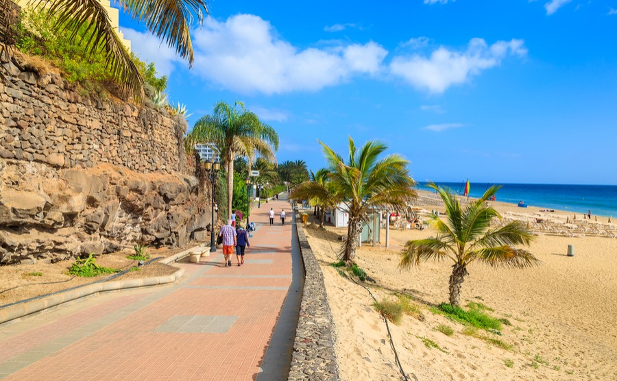 Fuerteventura is famous in Spain for its beaches, but did you know it also produces fantastic cheese?