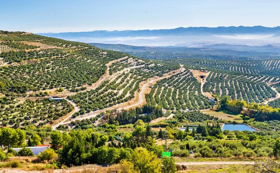 Living in rural Spain