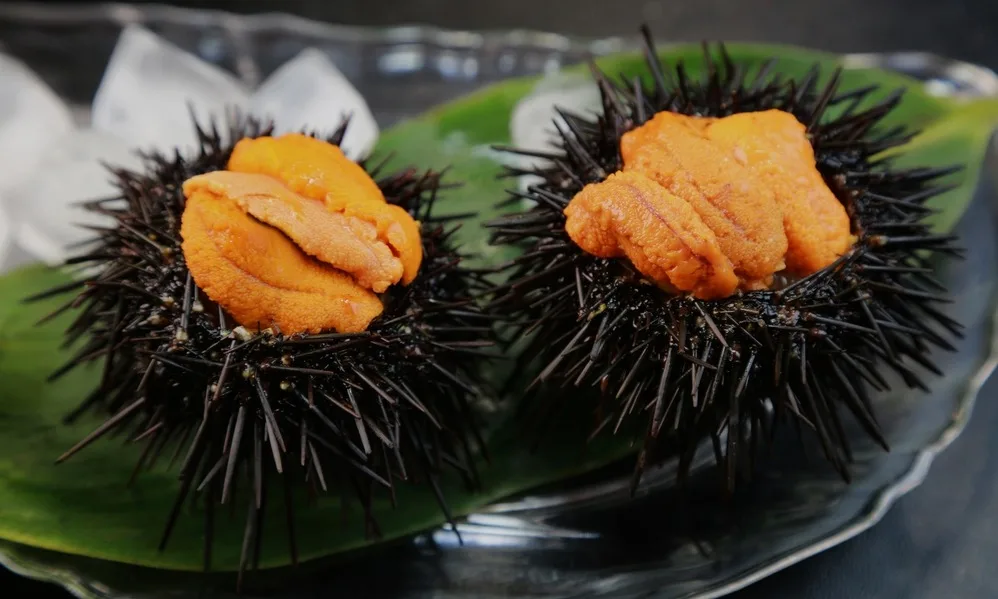 Tasting food straight from the sea on the Costa Brava