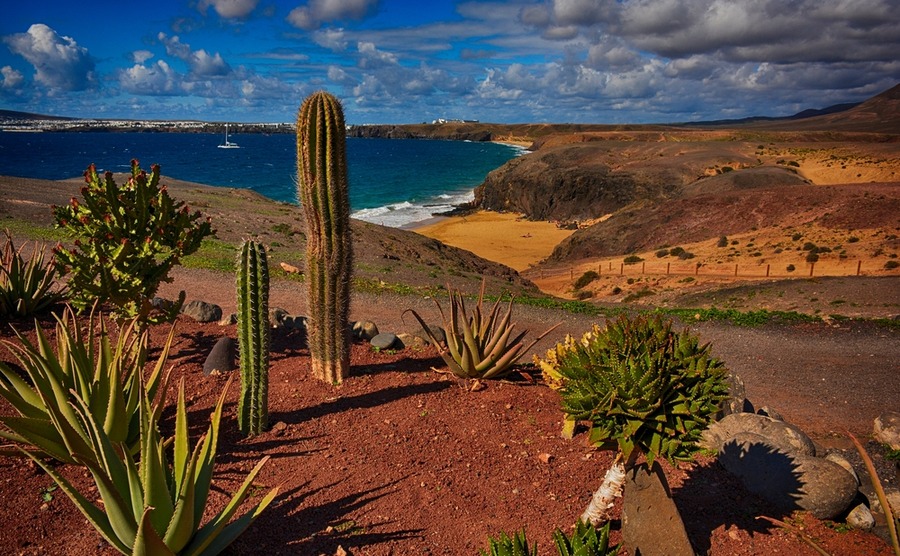 Among the Canary Islands, Lanzarote perhaps has the most unusual landscape.