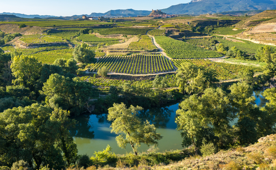 The greenery of La Rioja. 