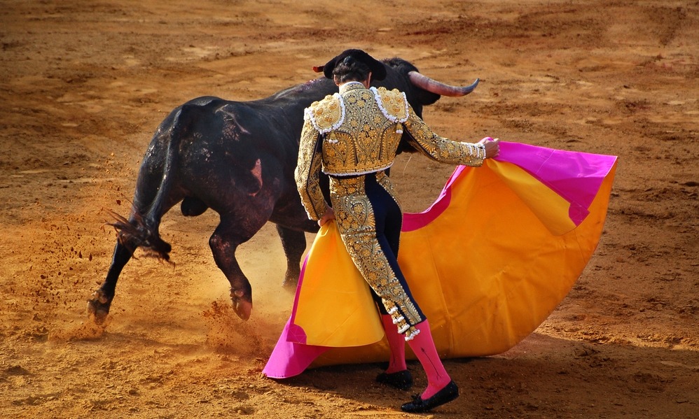 Spain News - Bullfighting; blood or art