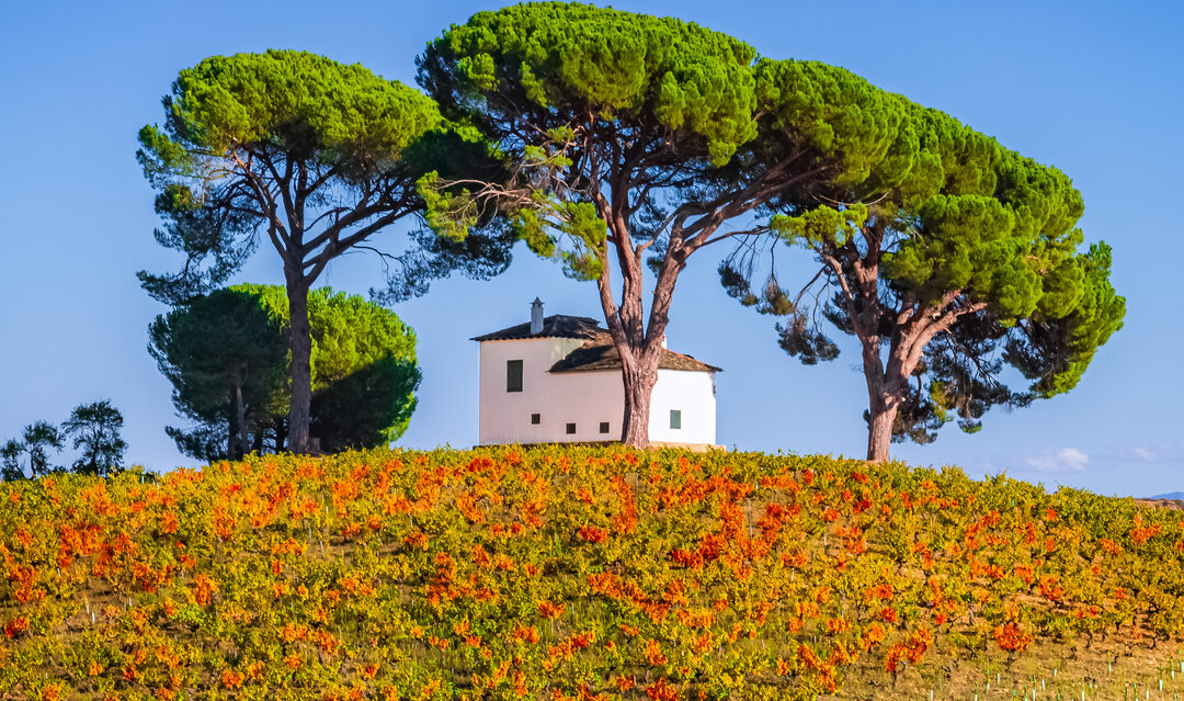 Unveiled: pretty rural homes in Spain