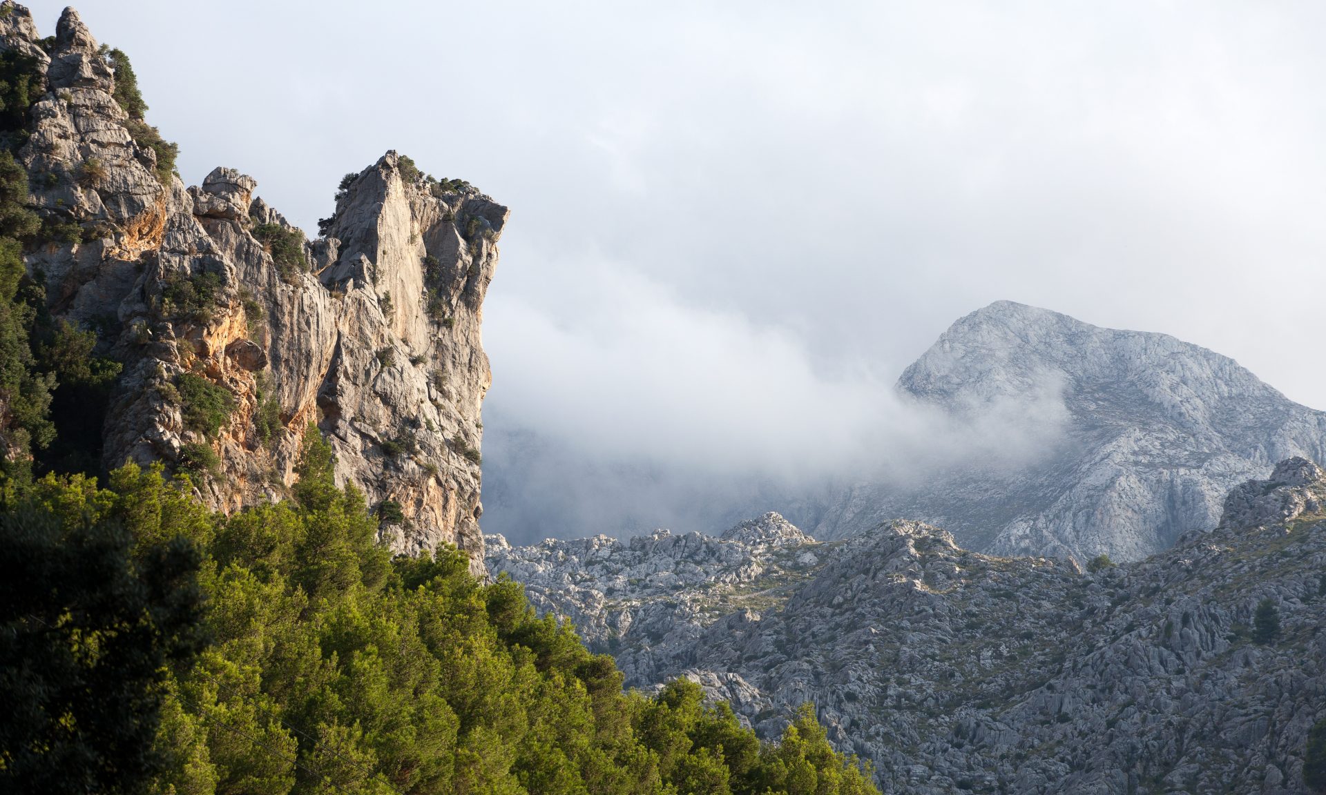 Numerous expats choose to live against the backdrop of the beautiful Tramuntana Mountains in the Balearic Islands.