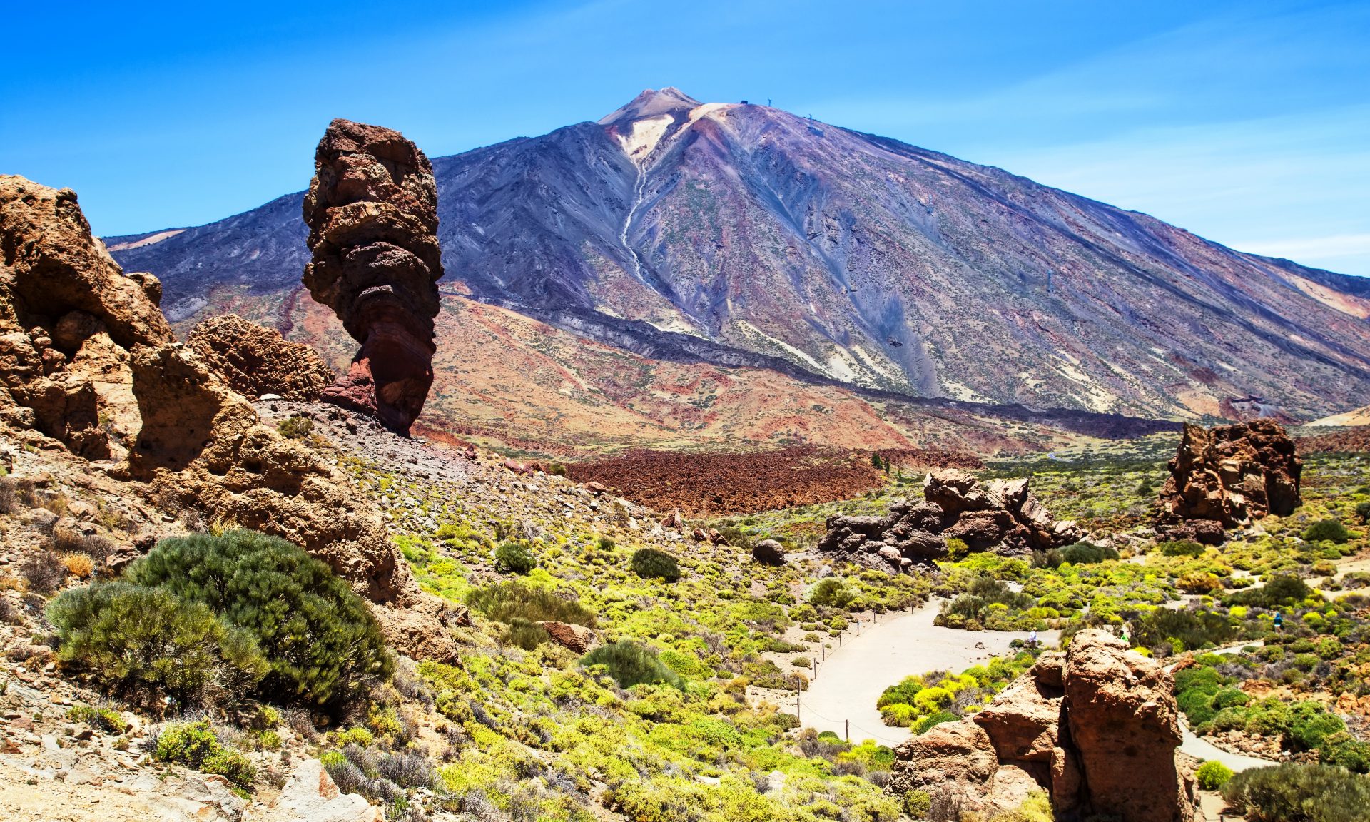 Where to buy - Canaries - Tenerife