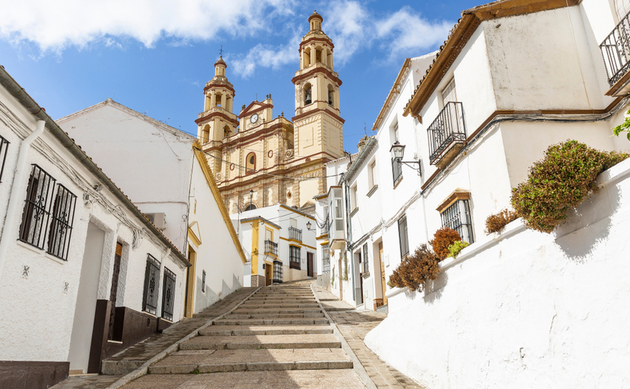 New Transport for Spain: Introducing the Trambahía