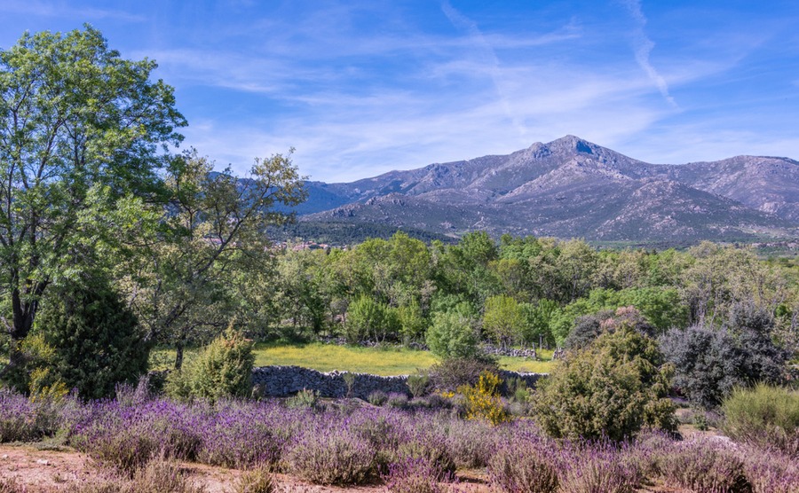 Building your own home in Spain