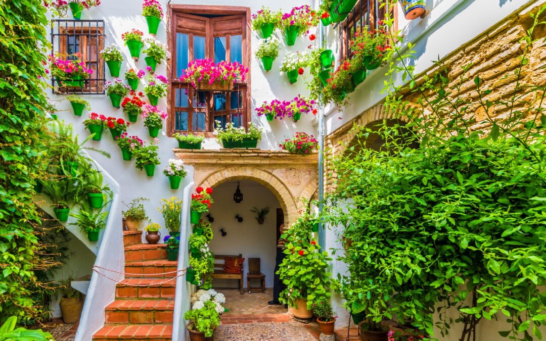 Creating your Spanish garden