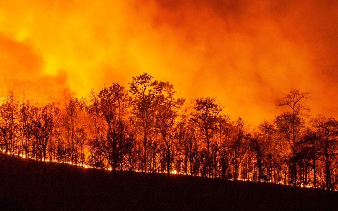 Firefighters save hundreds of British-owned homes