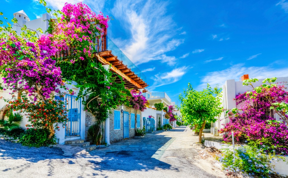 Bodrum streetview