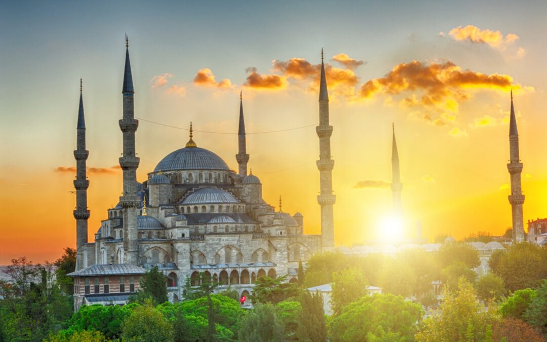 Two-minute guide to viewing trips in Turkey