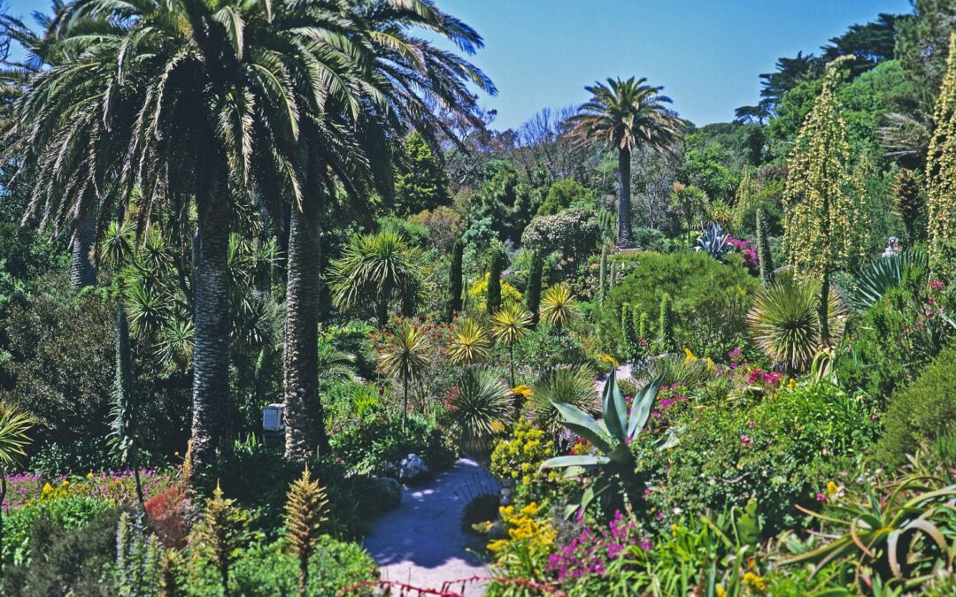 Planting your garden in Turkey