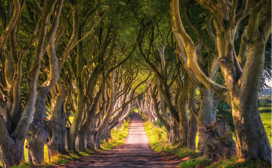 Northern Ireland. Home of Thrones