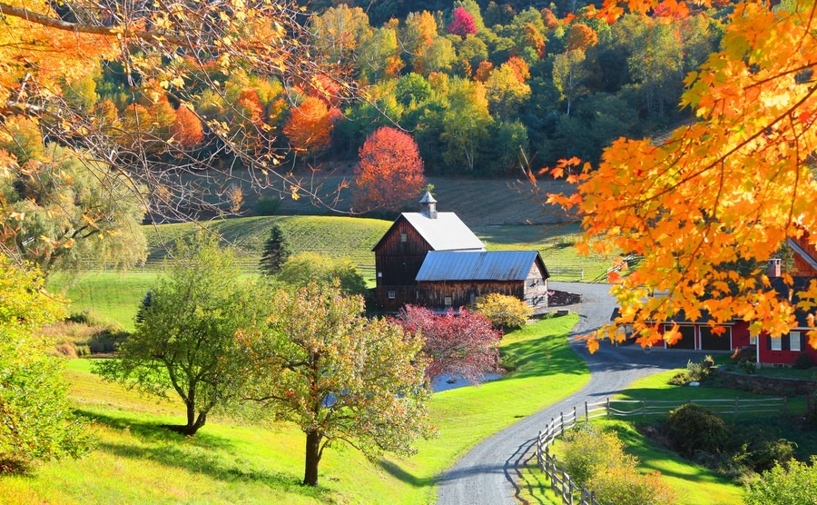 Rural Bliss in Vermont