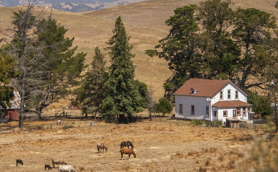 Californian Countryside