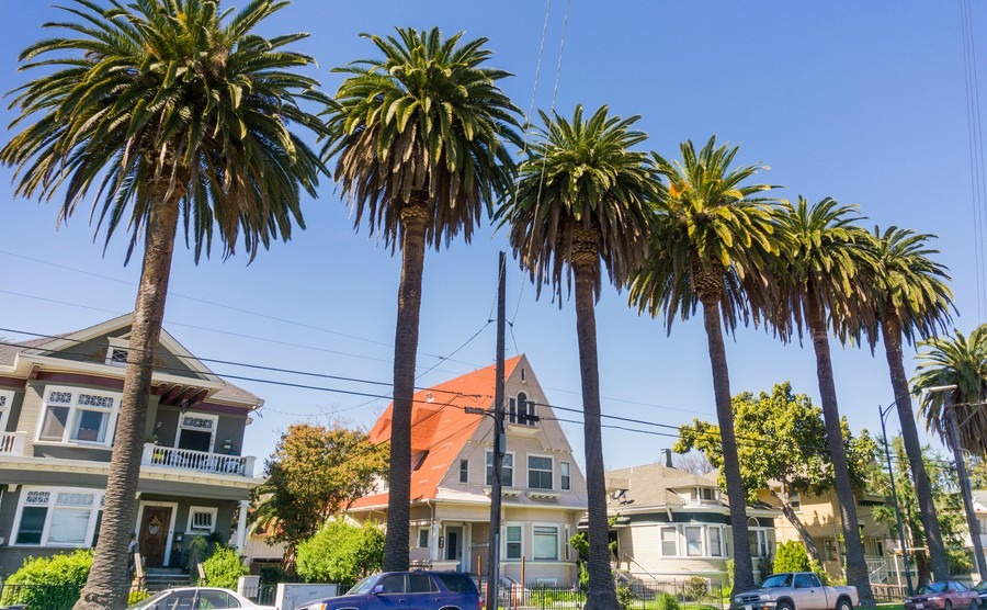 Downtown San Jose, California houses