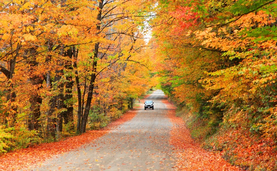 Scenic driving in New Hampshiare